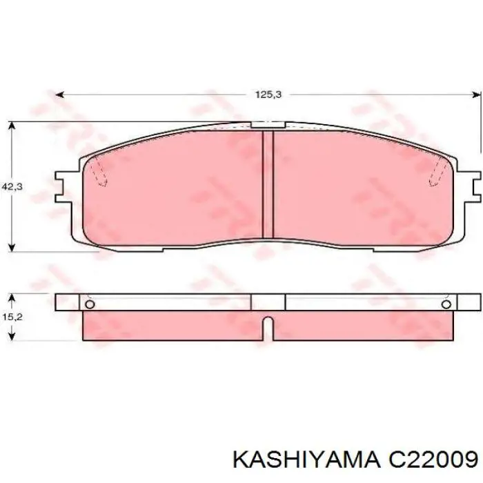 Колодки гальмові задні, дискові C22009 Kashiyama