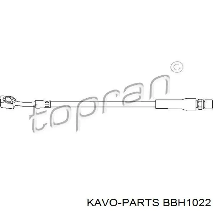 BBH1022 Kavo Parts шланг гальмівний передній