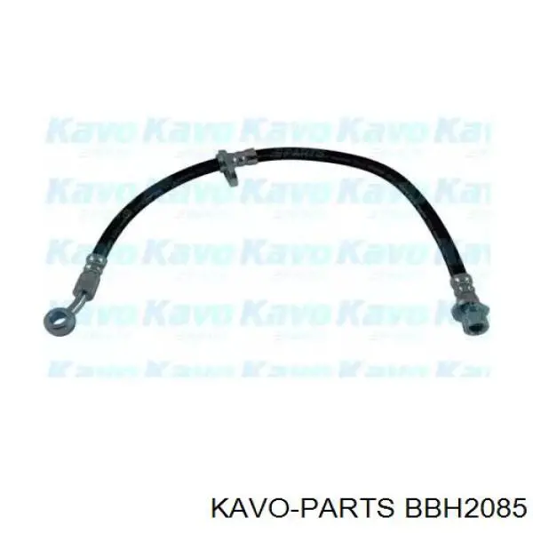 BBH2085 Kavo Parts шланг гальмівний передній