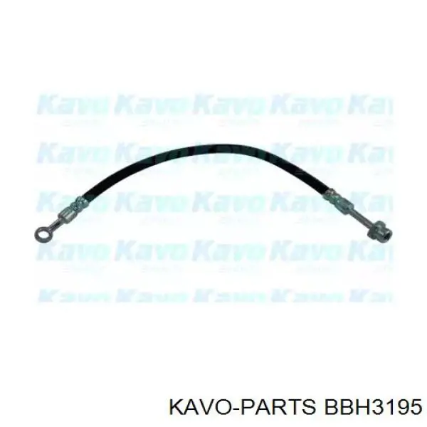 BBH3195 Kavo Parts шланг гальмівний передній, правий