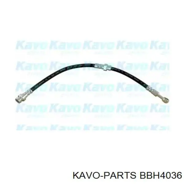 BBH4036 Kavo Parts шланг гальмівний передній, лівий