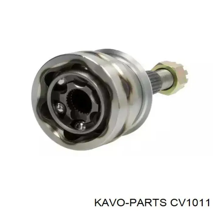 CV1011 Kavo Parts шрус зовнішній передній
