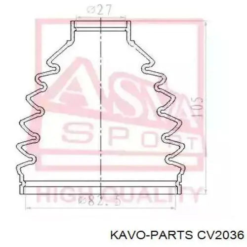 ШРУС зовнішній Kavo Parts CV2036