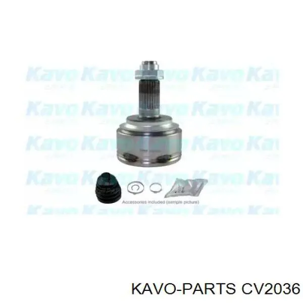 CV2036 Kavo Parts шрус зовнішній передній