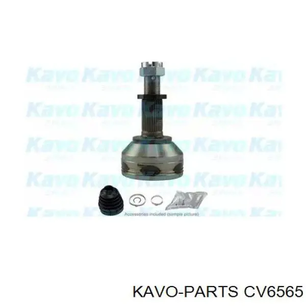 CV6565 Kavo Parts шрус зовнішній передній