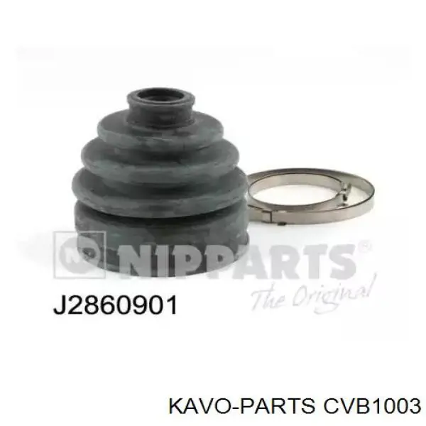 CVB1003 Kavo Parts Пильник ШРУСа зовнішній, передній піввісі