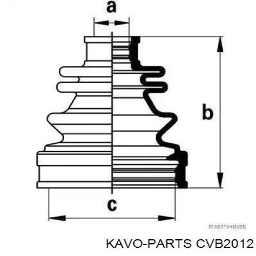 Купити CVB2012 Kavo Parts Пильник шарніра приводу