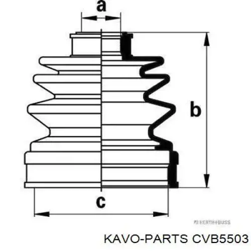 Купити CVB5503 Kavo Parts Пильник шарніра приводу
