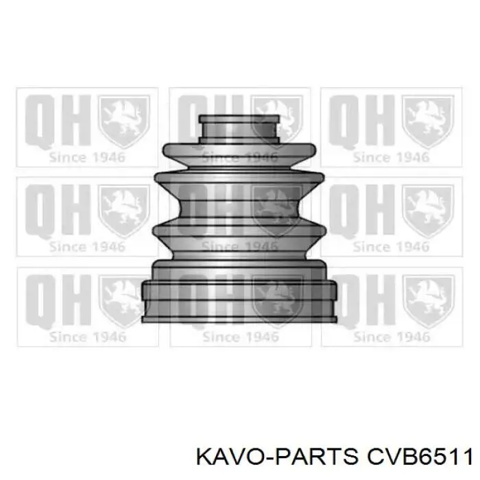 CVB6511 Kavo Parts Пильник ШРУСа зовнішній, передній піввісі