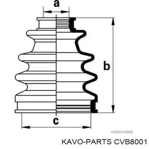 CVB8001 Kavo Parts Пильник ШРУСа зовнішній, передній піввісі