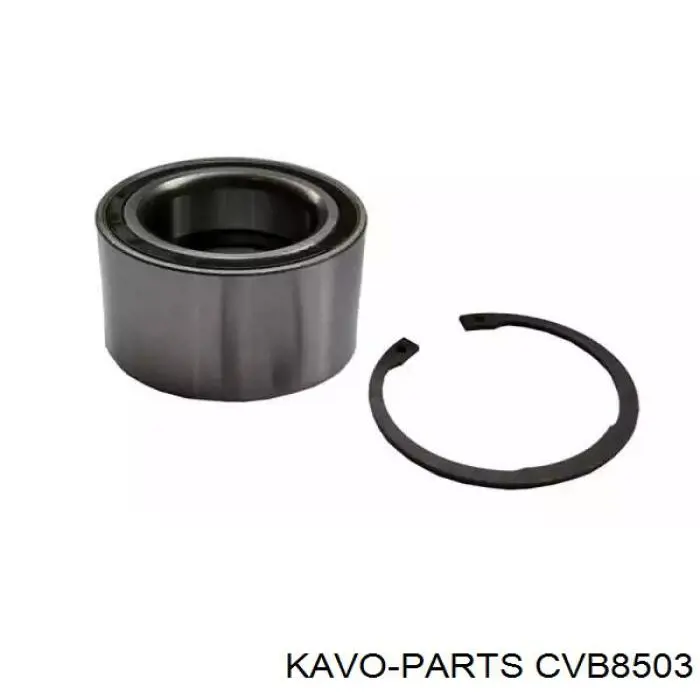 CVB8503 Kavo Parts пильник шруса зовнішній, передній піввісі