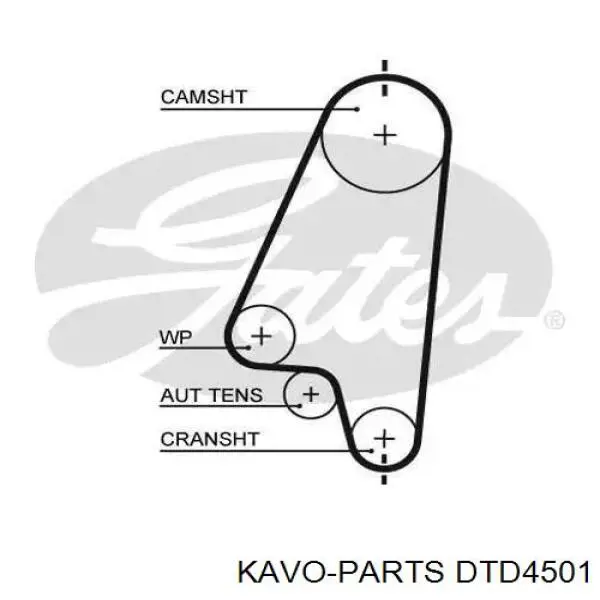 Натягувач ременя ГРМ DTD4501 Kavo Parts