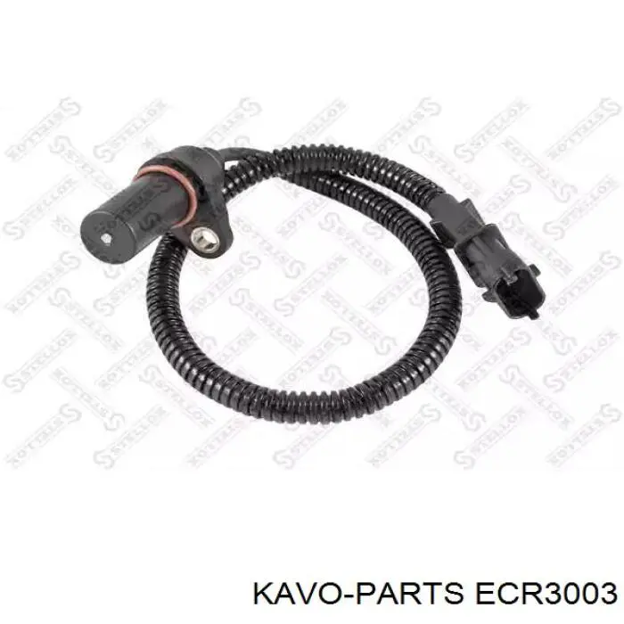 ECR3003 Kavo Parts ДПКВ