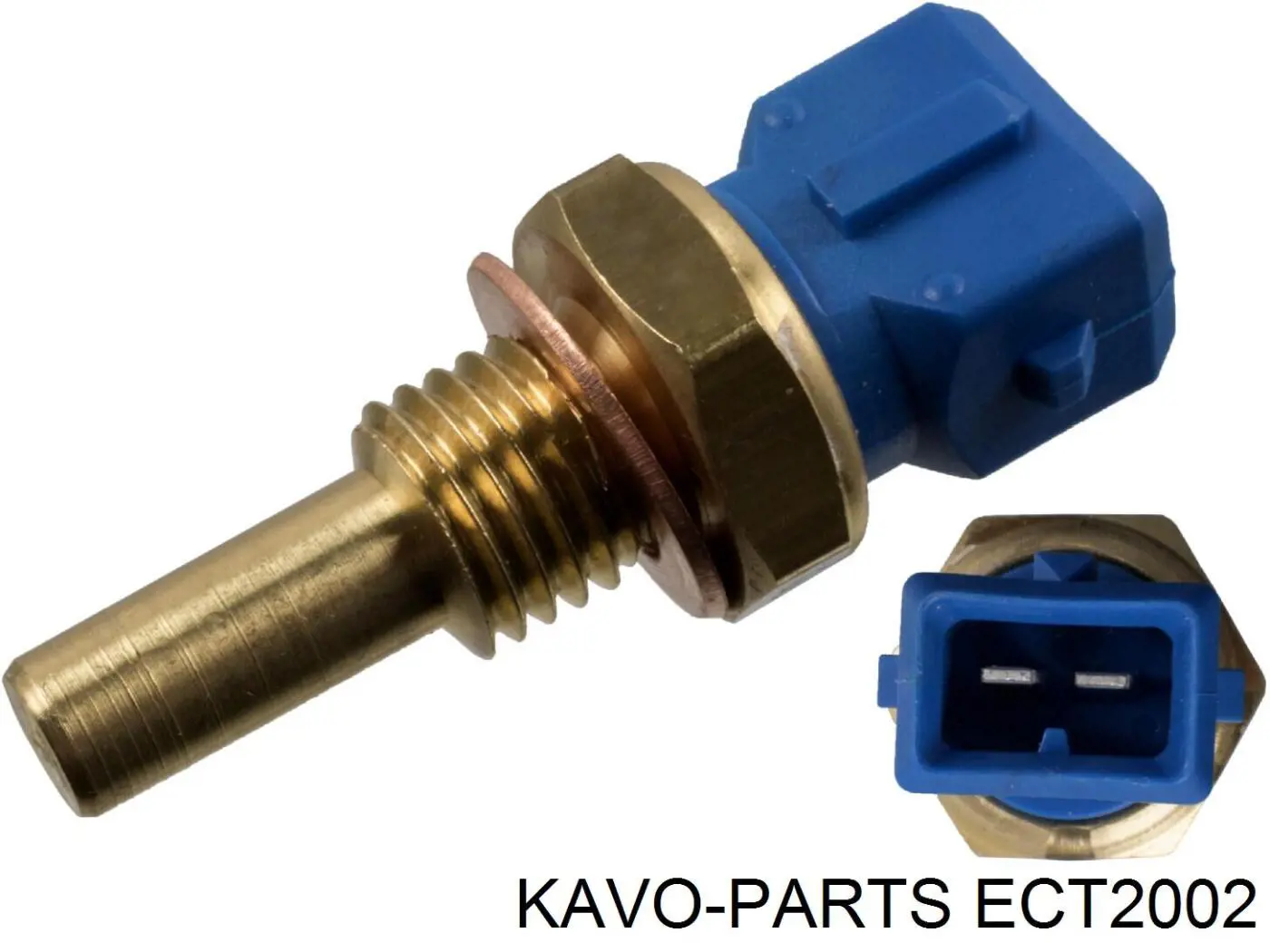 ECT2002 Kavo Parts датчик температури охолоджуючої рідини