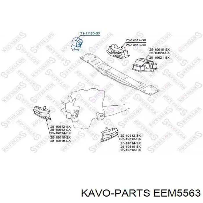Подушка трансмісії, опора роздавальної коробки Kavo Parts EEM5563 ціна, від 11.02 USD