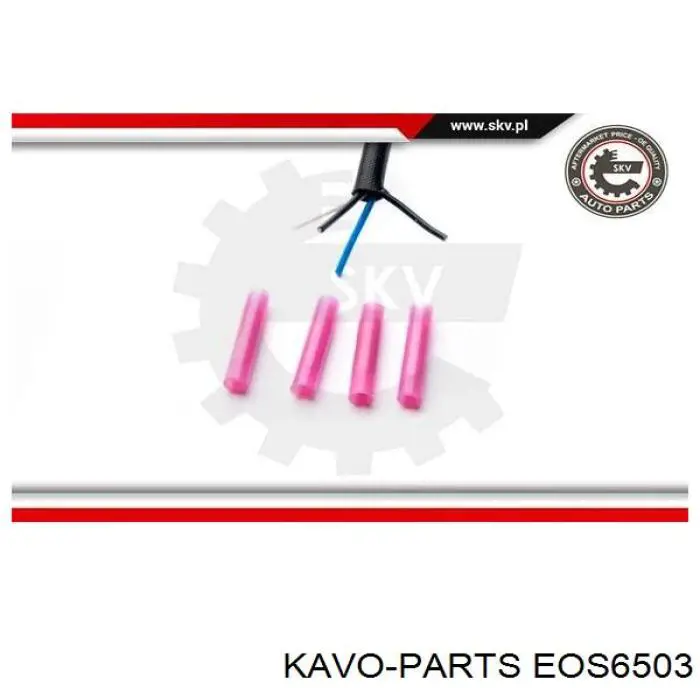 EOS6503 Kavo Parts 