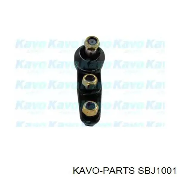 SBJ1001 Kavo Parts кульова опора, нижня