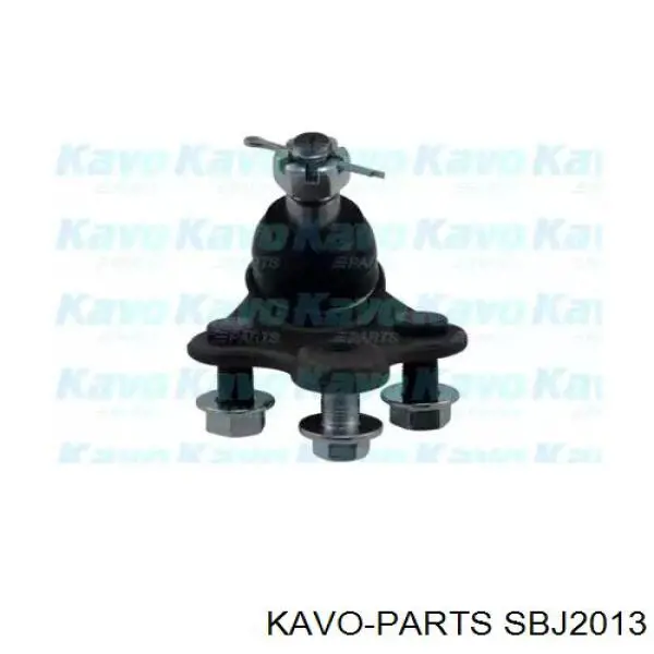 SBJ2013 Kavo Parts кульова опора, нижня