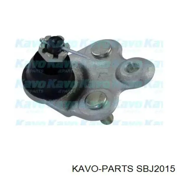 SBJ2015 Kavo Parts кульова опора, нижня, права