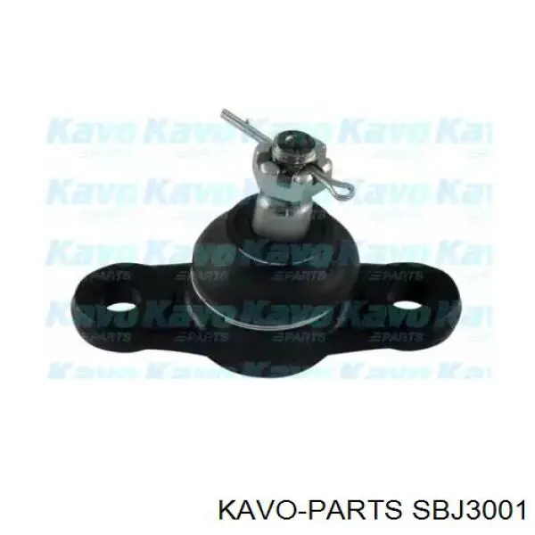 Кульова опора, нижня SBJ3001 Kavo Parts