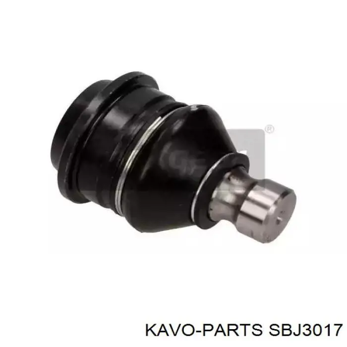Кульова опора, нижня Kavo Parts SBJ3017 ціна, від 11.33 USD