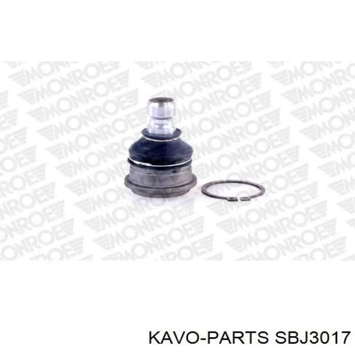 Кульова опора, нижня SBJ3017 Kavo Parts