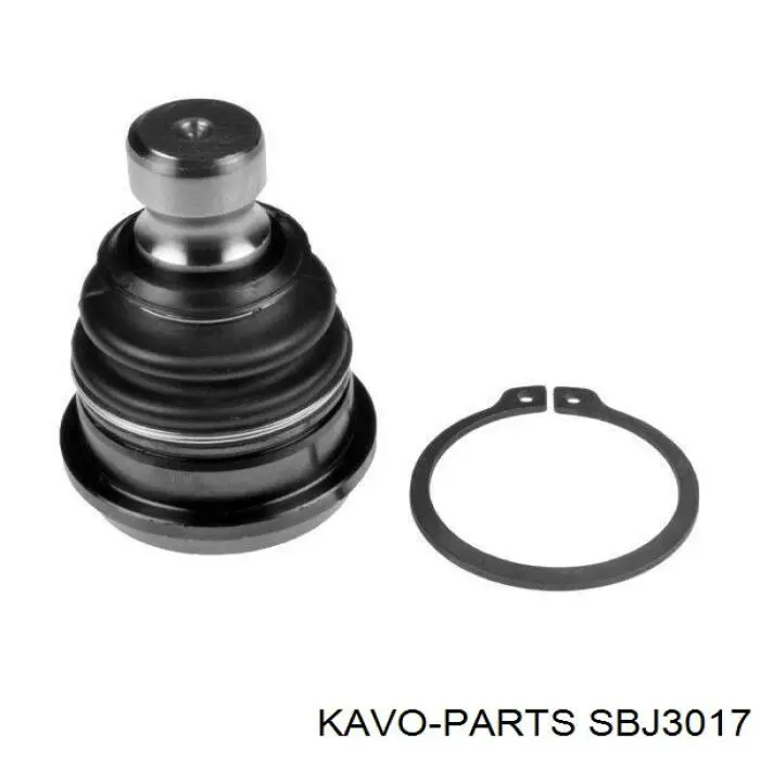 SBJ3017 Kavo Parts Кульові на авто