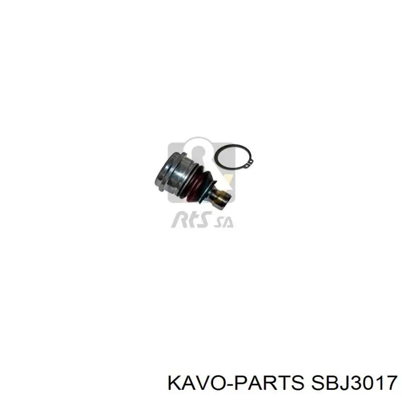 Купити SBJ3017 Kavo Parts Кульова опора, нижня