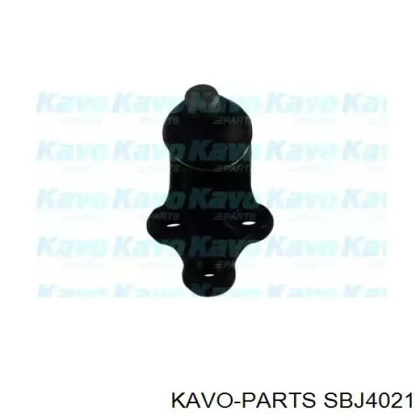 Кульова опора, нижня SBJ4021 Kavo Parts