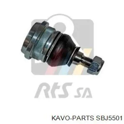 Купити SBJ5501 Kavo Parts Кульова опора, нижня