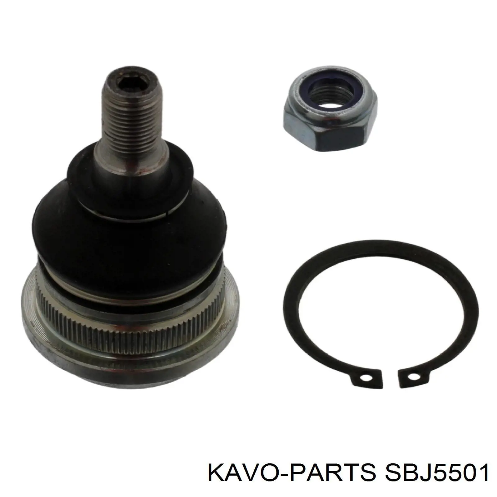 Кульова опора, нижня Kavo Parts SBJ5501