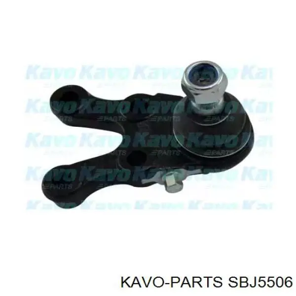 Кульова опора, нижня, права SBJ5506 Kavo Parts