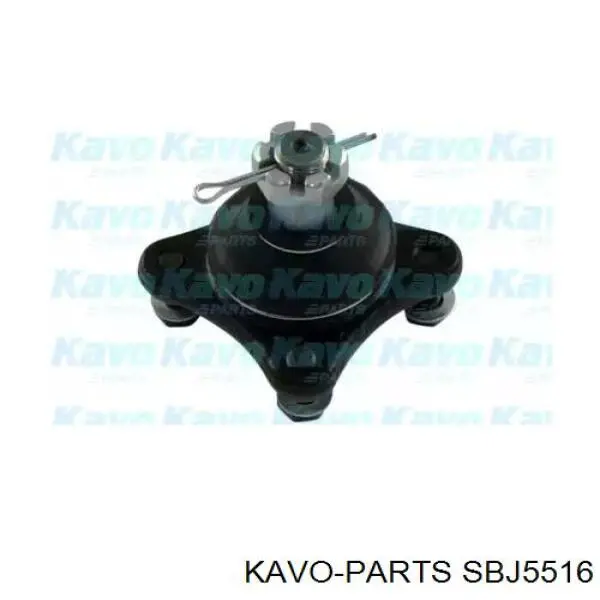 SBJ5516 Kavo Parts кульова опора, верхня
