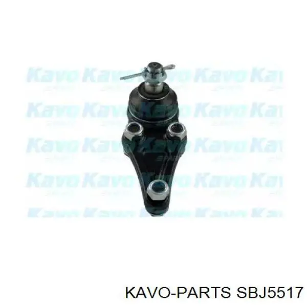 SBJ5517 Kavo Parts кульова опора, нижня