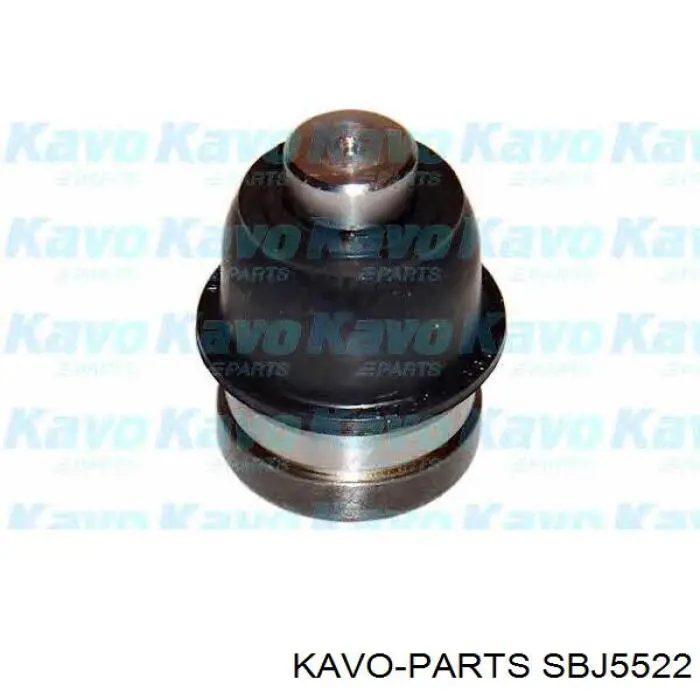 Кульова опора, нижня SBJ5522 Kavo Parts