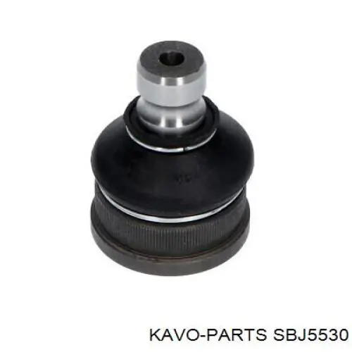  SBJ5530 Kavo Parts