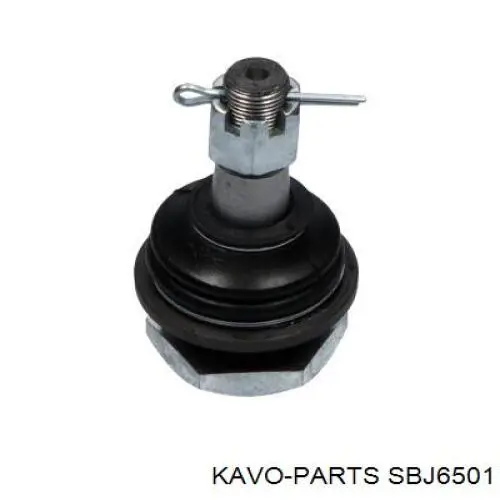Кульова опора, нижня SBJ6501 Kavo Parts