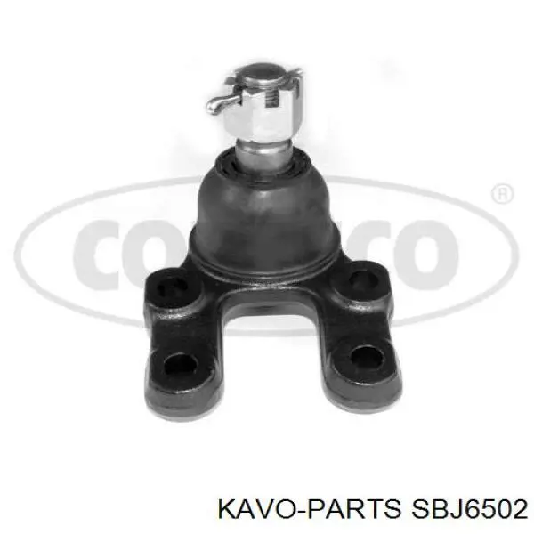 SBJ6502 Kavo Parts кульова опора, нижня