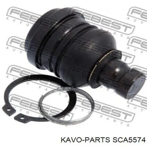 Важіль передньої підвіски нижній, правий Kavo Parts SCA5574 ціна, від 51.20 USD