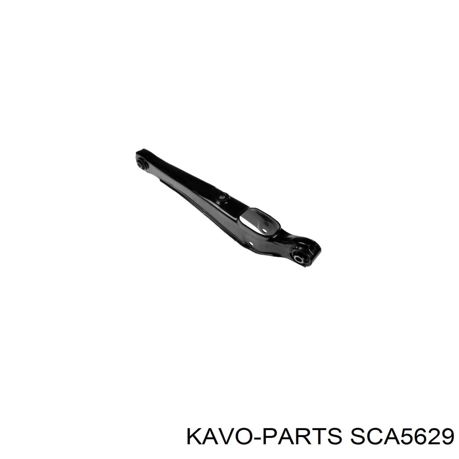 SCA5629 Kavo Parts важіль задньої підвіски нижній, лівий/правий