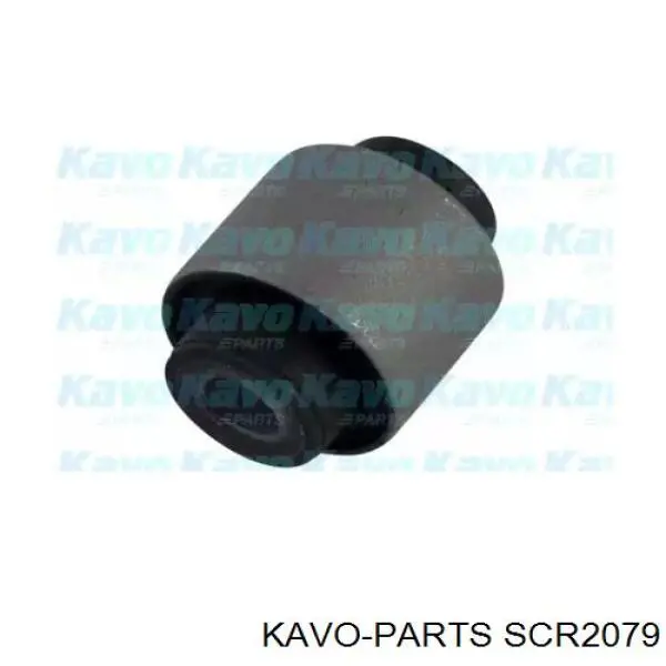 SCR2079 Kavo Parts Сайлентблок задньої тяги
