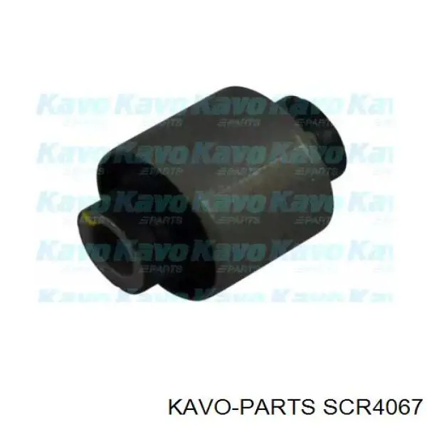 SCR4067 Kavo Parts Сайлентблок тяги поперечної, задньої підвіски