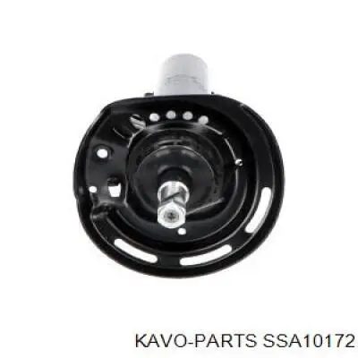 SSA10172 Kavo Parts амортизатор передній