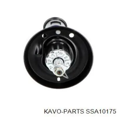 SSA10175 Kavo Parts амортизатор передній, правий