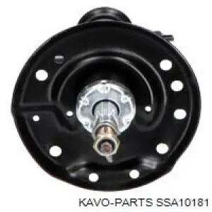 SSA10181 Kavo Parts амортизатор передній, правий
