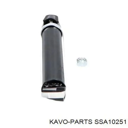 Амортизатори передні Kavo Parts SSA10251