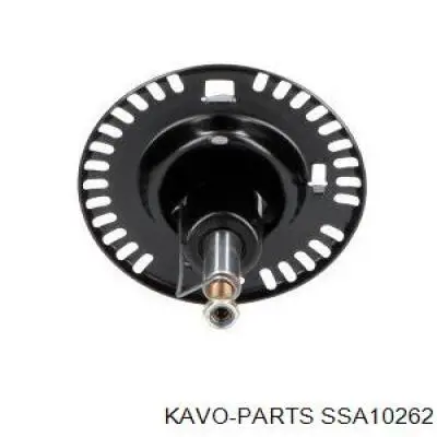 Амортизатори передні Kavo Parts SSA10262