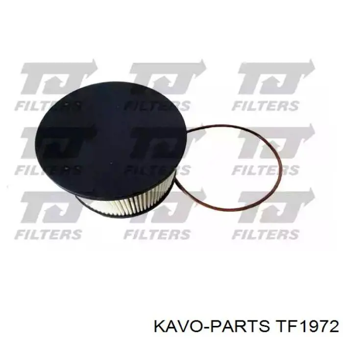 Купити TF1972 Kavo Parts Фільтр-відстійник палива грубої очистки