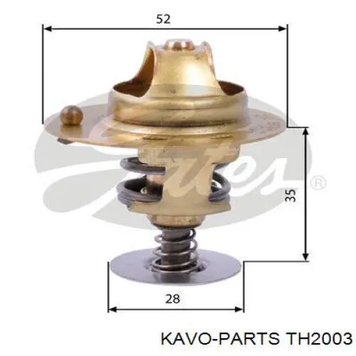 TH2003 Kavo Parts термостат