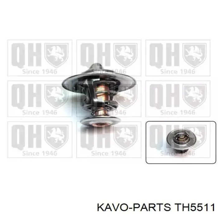 Термостат в зборі Kavo Parts TH5511